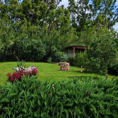 Villa Paola San Teodoro Con Piscina Privata Lu Lioni